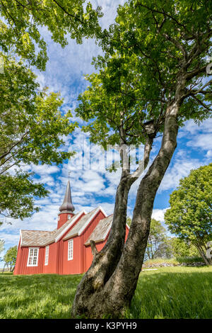 Les troncs d'arbres et de prés verdoyants encadrent l'église en bois typique des îles Lofoten en Norvège Europe Flakstad Banque D'Images