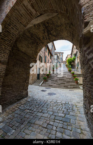 Une ruelle typique de la vieille ville, dans le village médiéval de Corinaldo Province d'Ancône Marches Italie Europe Banque D'Images
