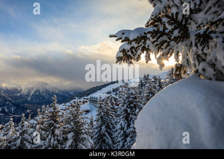 Sunbeam dans les bois enneigés encadrée par le coucher du soleil d'hiver Bettmeralp Française, canton du Valais Suisse Europe Banque D'Images