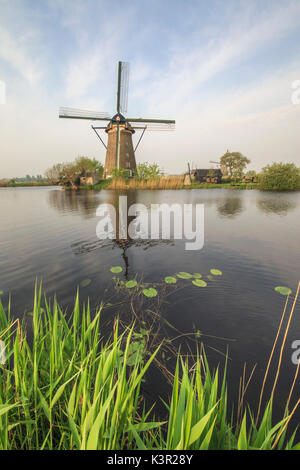 Les moulins à vent les trames de l'herbe verte reflétée dans le canal Kinderdijk Rotterdam Pays-Bas Hollande du Sud Europe Banque D'Images