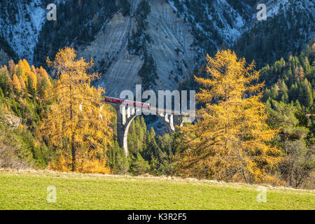 Bernina Express passe par Wiesner Viadukt entouré de bois colorés Canton des Grisons Suisse Europe Banque D'Images