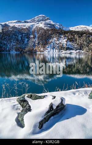 Snowy Woods couleur reflétée dans les eaux claires de Lej da Marmorera Val Sursette Canton des Grisons Suisse Europe Banque D'Images