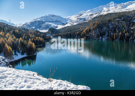 Snowy Woods couleur reflétée dans les eaux claires de Lej da Marmorera Val Sursette Canton des Grisons Suisse Europe Banque D'Images