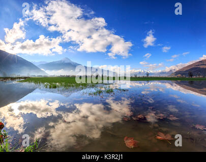 Vue panoramique de Pian di Spagna inondé avec le Mont Legnone reflète dans l'eau la Valtellina Lombardie Italie Europe Banque D'Images