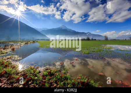 La réserve naturelle de Pian di Spagna inondé avec le Mont Legnone reflète dans l'eau la Valtellina Lombardie Italie Europe Banque D'Images