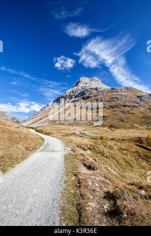 Un chemin à travers l'Engadine Vallée Fain Canton des Grisons Suisse Europe Banque D'Images