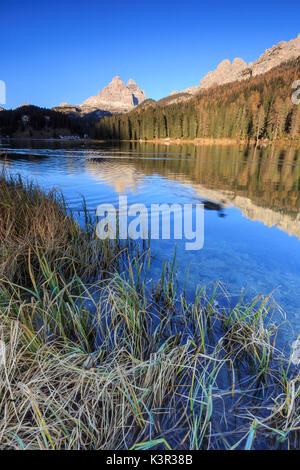 Les Trois Cimes de Lavaredo et woods se reflètent dans le lac de Misurina Auronzo de Cadore Veneto Italie Europe Banque D'Images