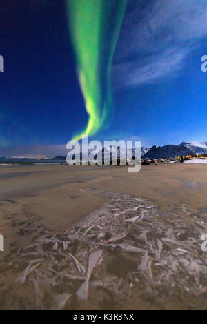 L'aurore boréale illumine le ciel et la plage de la mer froide d'Gymsøyand. Îles Lofoten en Norvège du Nord Europe Banque D'Images