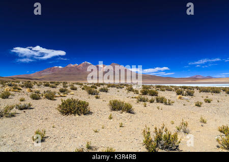 Salar de Uyuni, Potosi, Bolivie, Amérique du Sud Banque D'Images