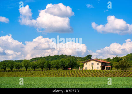 La Franciacorta, province de Brescia, Lombardie district,Italie, Europe. Banque D'Images