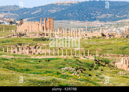 Ruines de l'ancienne ville gréco-romaine de Jerash, l'de Gérasa dans la Jordanie moderne Banque D'Images