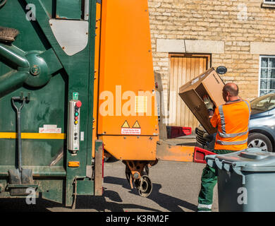 Un conseil ouvrier en tenant le carton déchets à la refuser camion sur une journée ensoleillée. Langtoft, près de Peterborough. Lincolnshire, Angleterre, Royaume-Uni. Banque D'Images