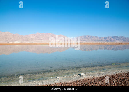 Les piscines de la mer Morte dans le parc Ein Evrona Banque D'Images