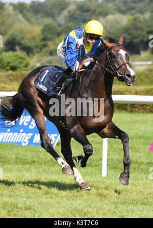 Iffezheim, Allemagne. Sep, 2017 3. Le jockey Filip Minarik gagne le 145e Grand Prix de Baden avec son cheval Guignol sur la 6ème journée de course à Iffezheim, Allemagne, 3 septembre 2017. Photo : Uli Deck/dpa/Alamy Live News Banque D'Images