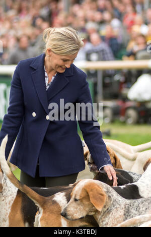 Burghley House, Kent, UK. Sep, 2017 3e. la comtesse de Wessex jouit de quelques moments avec les chiens de chasse au renard qui ont défilé autour de l'anneau principal à Burghley House avant de rencontrer le chasseur. crédit : clifford norton/Alamy live news Banque D'Images