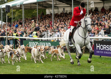 Burghley House, Kent, UK. Sep, 2017 3e. la comtesse de Wessex jouit de quelques moments avec les chiens de chasse au renard qui ont défilé autour de l'anneau principal à Burghley House avant de rencontrer le chasseur. crédit : clifford norton/Alamy live news Banque D'Images