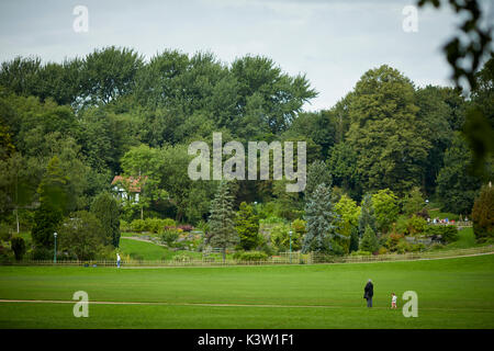 Les arbres et les pelouses, dans les espaces verts et parcs de Avenham Miller Preston, Lancashire Banque D'Images