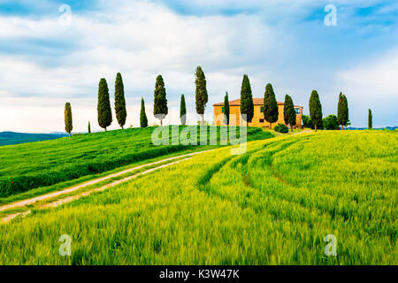 Val d'Orcia, Toscane, Italie. Une ferme isolée avec des cyprès se tenant dans la ligne en premier plan. Banque D'Images