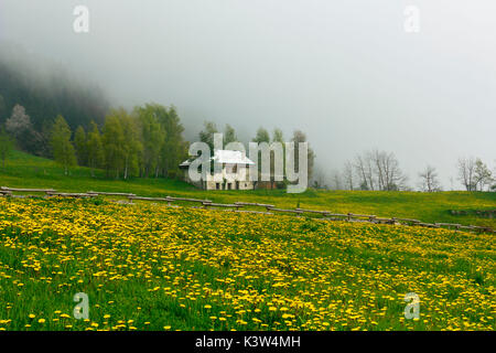 Luserna, Province de Trente, Trentin-Haut-Adige, Italie. Maison en pierre aux fleurs de pissenlit. Banque D'Images
