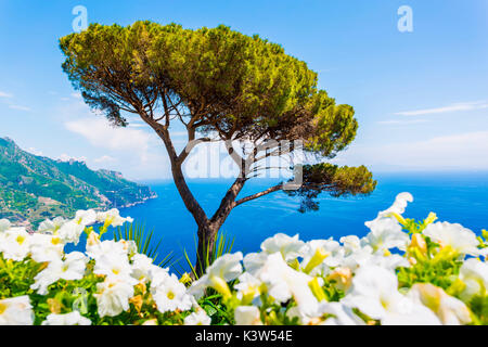 Ravello, Côte Amalfitaine, Sorrente, Italie. Vue sur la côte de la Villa Rufolo Banque D'Images