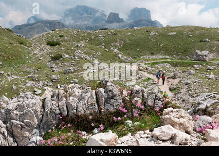 L'Europe, Italie, Dolomites, Belluno, Bolzano, Parc des Tre Cime di Lavaredo. Les Randonneurs Banque D'Images