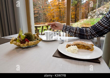 Strudel aux pommes, Trentin-Haut-Adige, Italie. Banque D'Images