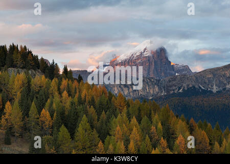 Tofana di Rozes de Laste Alm, Dolomites, Rocca Pietore, Padova, Veneto, Italie. Banque D'Images