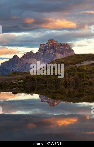 Laste Alm, Dolomites, Rocca Pietore, Padova, Veneto, Italie. Banque D'Images