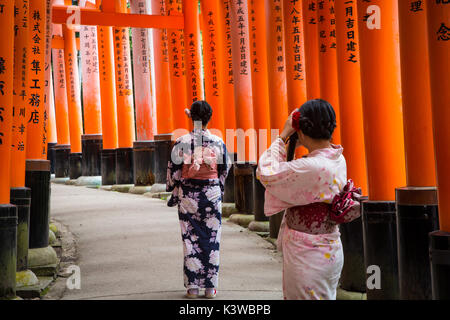 Sanctuaire Fushimi Inari est un important sanctuaire Shinto dans le sud de Kyoto. Il est célèbre pour ses milliers de torii vermillon gates. Banque D'Images