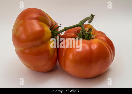 Tomates Brandy vin, une grande variété du patrimoine. Deux grosses tomates. Banque D'Images