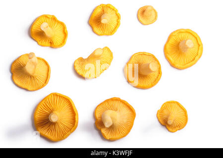 Les chanterelles ou girolles (Cantharellus cibarius) champignons, vue du dessus. Chemins de détourage, séparés de l'ombre Banque D'Images