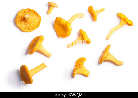 Les chanterelles ou girolles (Cantharellus cibarius) champignons, vue du dessus. Chemins de détourage, séparés de l'ombre Banque D'Images