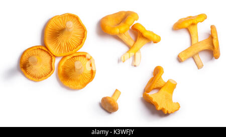 Les chanterelles ou girolles (Cantharellus cibarius) champignons, vue du dessus. Chemins de détourage, séparés de l'ombre Banque D'Images