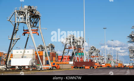 ROTTERDAM, Pays-Bas - SEP 2, 2017 : Déménagement de véhicules à guidage automatique des conteneurs d'expédition dans un terminal à conteneurs du port de Rotterdam. Banque D'Images