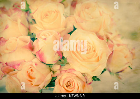 Tonalité vintage roses rose jaune avec conseils Banque D'Images