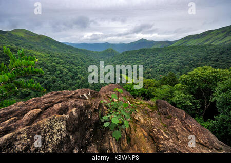 Green Valley Banque D'Images