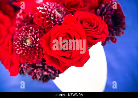 Fleurs rouges et roses en bouquet dans rouge blanc et bleu palette de couleur Banque D'Images
