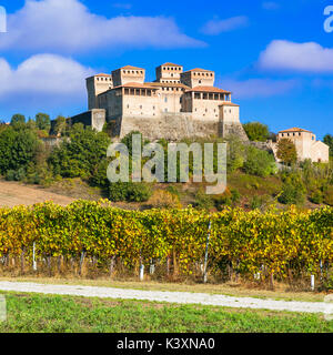 Le château de Torrechiara impressionnant,vue panoramique de vignes,italie. Banque D'Images