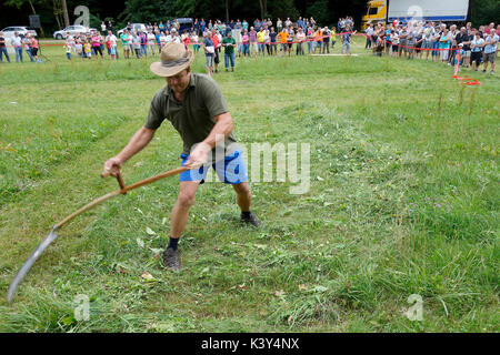 Les hommes d'une affiche de l'habileté de l'herbe à la faux en mouvement. Les jeux à la kermesse en Tržišče. Dolenjska, Slovénie Banque D'Images