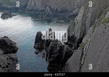 * 1963 : ouverture intégrale à partir de Cynddeiriog Porthclais pointe en été à près de St Non et de St David's, Pembrokeshire Wales UK KATHY DEWITT Banque D'Images