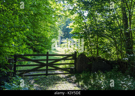 Vieille porte en bois dans un écrin de verdure à l'île de Oland suédois Banque D'Images