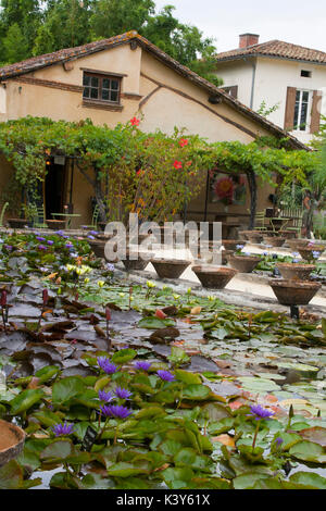 Les jardins de l'eau célèbre Labor-Marliac pour cultiver des nénuphars Banque D'Images