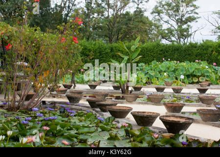 Les jardins de l'eau célèbre Labor-Marliac pour cultiver des nénuphars Banque D'Images