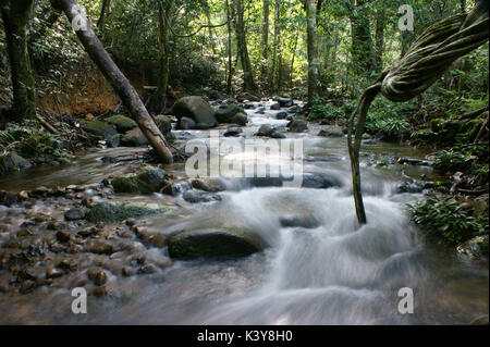 Eiria park, singkawang, l'ouest de Kalimantan, Indonésie Banque D'Images