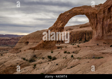 Juste à l'extérieur de Moab, Utah. corona arch est de 110 pieds de haut. Banque D'Images