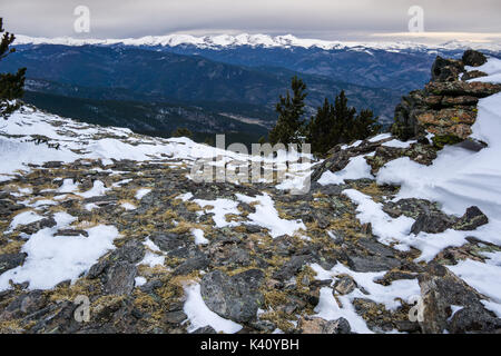 L'herbe est exposé au début du printemps dans le haut pays du Colorado. c'est le long du sentier au sommet Chief Mountain, près de la ville d'evergreen. Banque D'Images