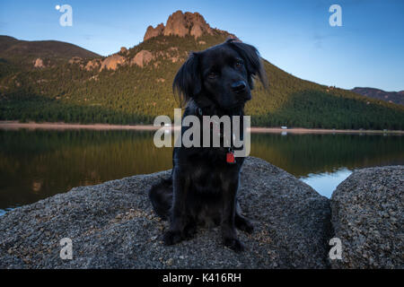 Camping du Lac Wellington. Près de Bailey, Colorado. Banque D'Images