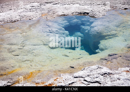 Le parc national de Yellowstone en été Banque D'Images