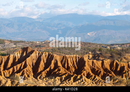 Big cactus dans le désert rouge, désert tatacoa, la Colombie, l'Amérique latine, de nuages et de sable, dans le désert de sable rouge Banque D'Images