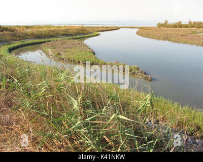 Vue d'ensemble sur l'saltmarsh autour de Lio Piccolo, près de Venise Banque D'Images